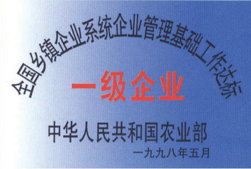 一級企業(yè)